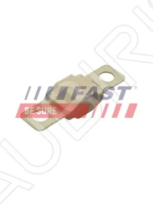 Poslední Šance Pojistka midi 80A Fiat Ducato od 2002