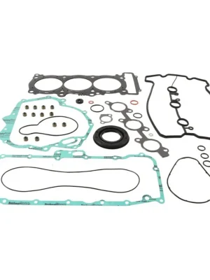 Sada těsnění motoru kompletní vč. gufer motoru WINDEROSA 711319A Nejprodávanější