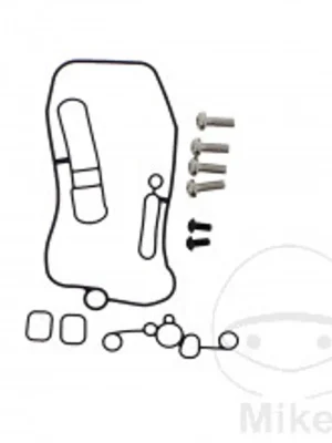 Top Prodej Carburettor o-ring kit TOURMAX