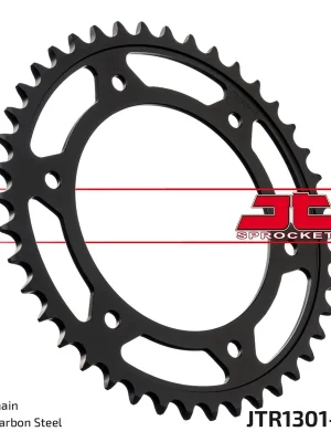 Řetězová rozeta JT JTR 1301-42 42 zubů Ihned K Objednání